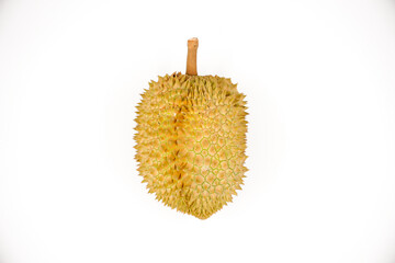 Durian fruit in south east asia, the king of fruits on white background  © Dub Dub Studio