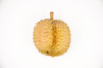 Durian fruit in south east asia, the king of fruits on white background  © Dub Dub Studio