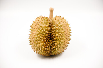 Durian fruit in south east asia, the king of fruits on white background  © Dub Dub Studio