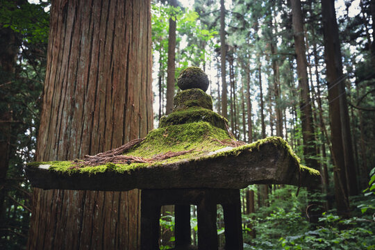 戸隠神社