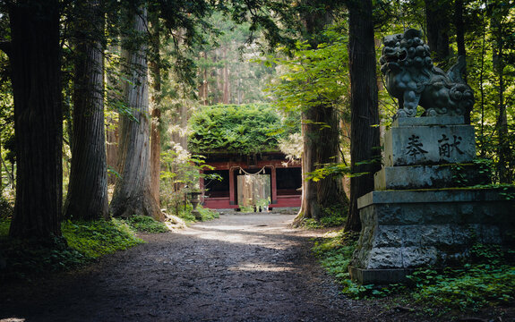 戸隠神社