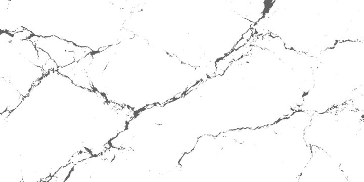 Abstract white marble texture background with dramatic black veins luxury natural stone pattern elegant ceramic tile