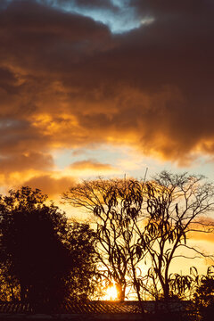 golden sunrise with sun flare over suburban rooftops and backyard trees
