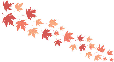 Fototapeta premium Autumn maple leaves vector background featuring a blowing wave of colorful red orange yellow foliage