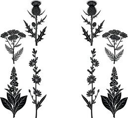 Vintage Wildflower Botanical Silhouette Collection with Hand Drawn Meadow Plants, Herbal Blossoms, and Floral Stem Elements for Nature Inspired Vector Designs © MstSuborna