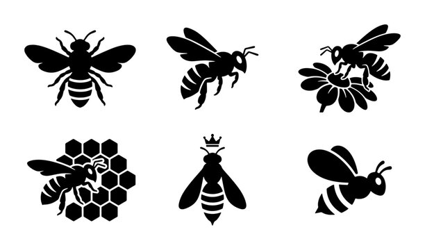 Six Black Bee Icons, Honeycomb, Queen Bee Silhouette, Insect Vector Graphics