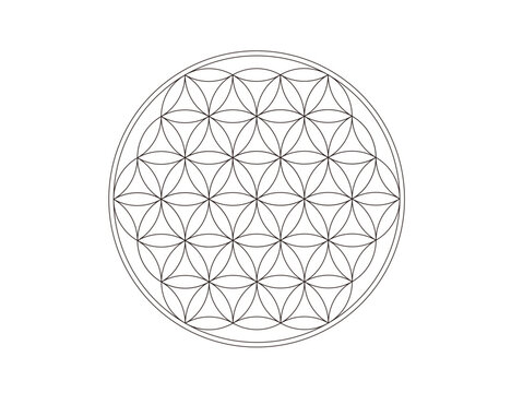 フラワーオブライフ flower of life  横向き