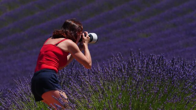 Woman take photo on lavender field, Provence France
