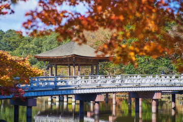 Fototapeta premium Ukimidou with red maple in autumn, Nara public park, Nara, Japan.