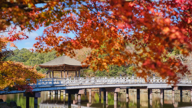 Ukimidou with red maple in autumn, Nara public park, Nara, Japan.