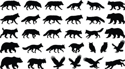 Obraz premium Collection of black silhouettes of wild animals, including wolves, foxes, bears, lynx, owls, and eagles