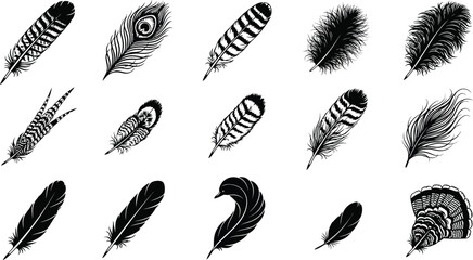 Black and white feather various shapes and patterns, on a white background, feathers © Graphic Shops