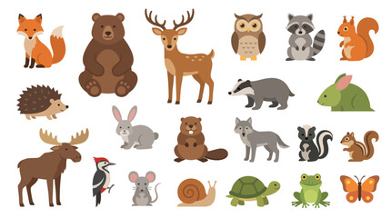 Obraz premium Woodland animals collection features a diverse group of forest creatures including a bear, deer, fox, owl, and raccoon depicted in a charming and playful flat design style.