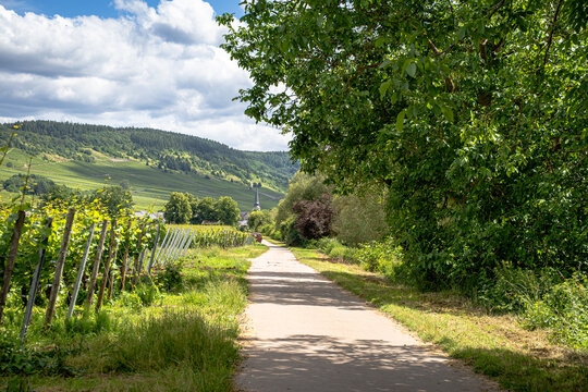 Nur einen stillen Moment zwischen sattgr&uuml;nen B&auml;umen, das sanfte Glitzern der Mosel und den Kirchturm in der Ferne, der &uuml;ber die Landschaft wacht.