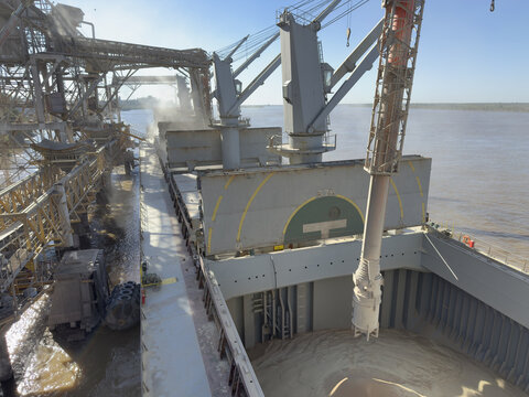 whet loading to cargo hold of bulk carrier ship. grain dust. cargo operations at sea port.