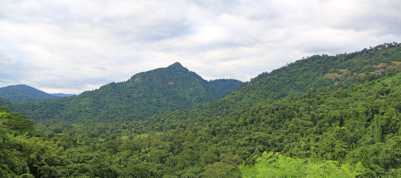 A breathtaking panoramic view of a lush tropical mountain range under a cloudy sky, featuring dense green forests and wild grass in the foreground.