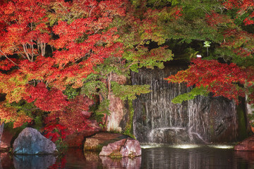 Autumn leaves and waterfall of Japanese garden at night, Kokoen garden (Koko-en), Kobe city, Hyogo, Japan. © YUSHENG HSU