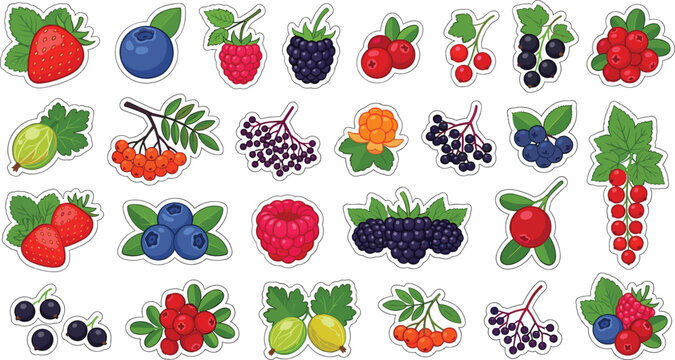 Fresh garden berry stickers collection set with strawberry blueberry raspberry blackberry cranberry and currant vector illustration for food packaging