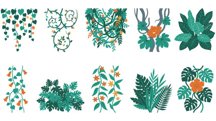 Tropical jungle plant and liana vine collection for exotic landscapes. © Amina