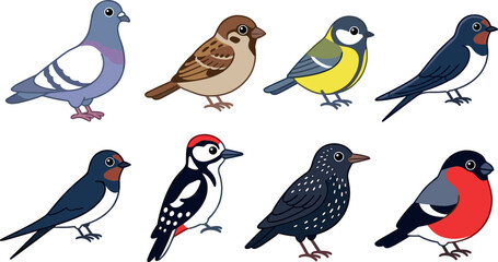 Cute Cartoon Garden Birds Vector Icon Set Featuring Kawaii Pigeon House Sparrow Great Tit Barn Swallow Woodpecker Starling and Eurasian Bullfinch Mascots © MdAsad