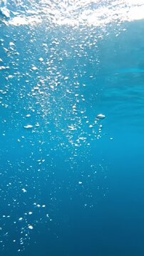 Crystal clear air bubbles rising through deep blue ocean water towards the sunlit surface