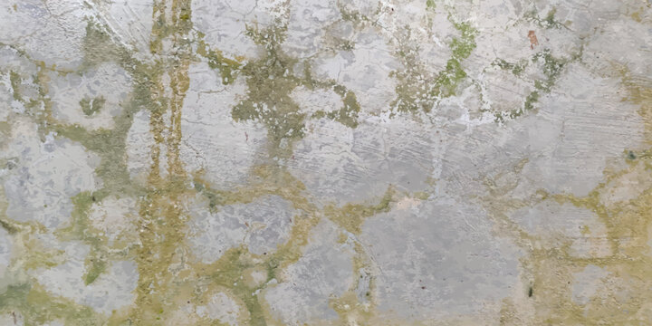 Weathered concrete wall with yellow and green lichen growth concrete weathered abstract background material architecture building structure exterior foundation lichenous markings