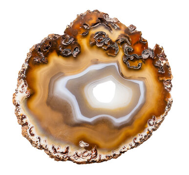 specimen of mineral from geological collection - polished agate slice with geode isolated on white background from Brazil