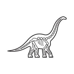 Fototapeta premium Dinosaur skeleton illustration black line drawing on a white background