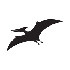 Pterodactyl Silhouette Against White Background Paleontology Illustration © MstLaila