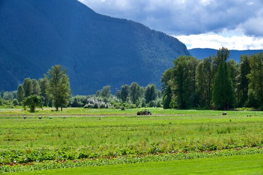 mountain landscape with green grass and clouds