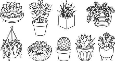 Minimalist Potted Succulent and Cactus Vector Icon Set with Jade Plant, Haworthia, Lithops, and Hanging String of Pearls Outline Designs © MdAungur