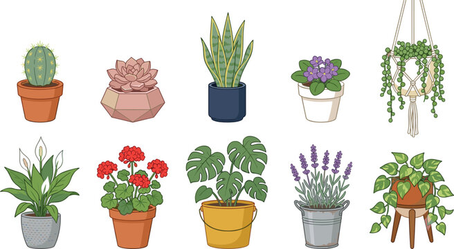 Cute Potted Houseplants Vector Illustration Set with Cactus, Monstera, Lavender, Snake Plant, and Hanging Macrame Planter