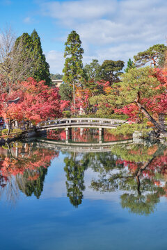 Autumn leaves garden and pond, Eikando temple (Eikan-do), Kyoto, Japan.