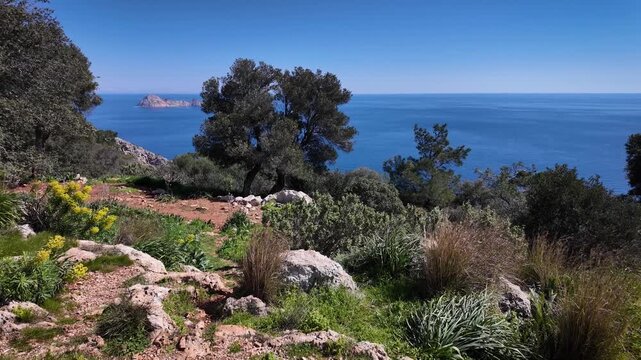 Mediterranean Sea Rocky Coast and Mountain Plants - Sunny Spring or Summer Day - MS Pan UHD