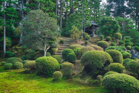 Japanese garden in Tofukuji temple (Tofuku-ji), Kyoto, Japan.
