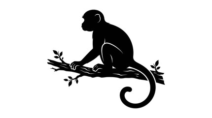 Monkey silhouette, black monkey icon, primate symbol, vector illustration isolated on White Background © shaun
