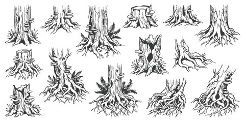 Set of hand drawn tree trunks stumps and roots with mushrooms and ferns in a black and white sketch style © ZenVectors
