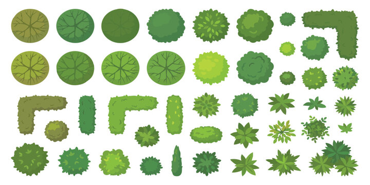 Set of top view trees and garden bushes for architectural landscape design plan and map illustration project