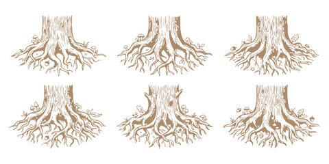 Set of hand drawn tree trunks with exposed roots and small colored leaves in a detailed engraving sketch style © ZenVectors
