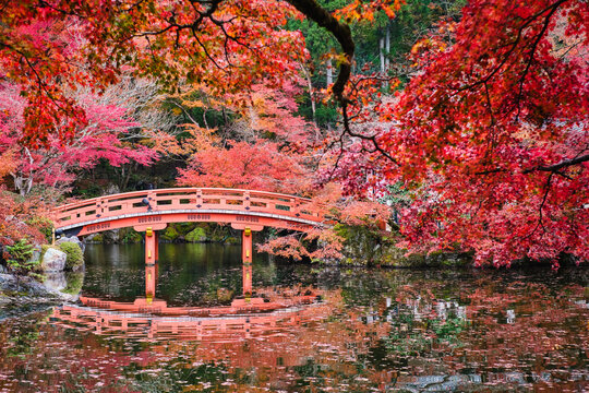 Autumn scenery of Daigoji temple (Daigo-ji) in Kyoto, Japan.