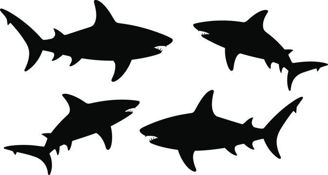 Silhouettes of sharks in dynamic motion, showcasing marine life, fins, tails, and teeth in minimalist ocean wildlife illustration design