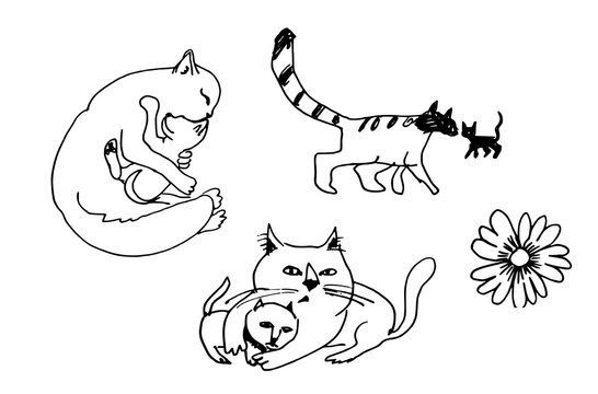 Set of hand-drawn cats with kittens. Black and white vector sketch of a mother cat caring for her babies isolated on white
