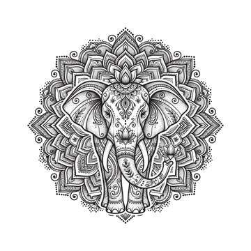 Intricate elephant mandala featuring lotus flowers, ornamental floral motifs, and sacred geometric details in elegant blackwork line art. Decorative spiritual vector illustration isolated background