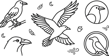 Fototapeta premium Raven and Crow Bird Vector Illustration Set with Flying Wildlife Animal Logotype Symbols