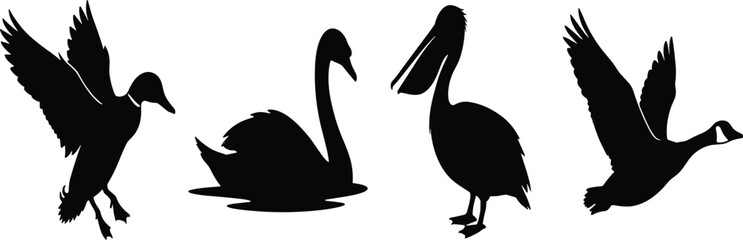 Waterfowl and aquatic birds black silhouettes set with flying duck swan pelican and canada goose © Mdjoshel 