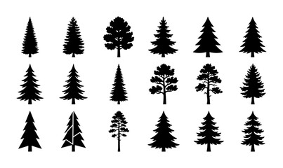 Diverse Pine Tree Silhouettes, Conifer Evergreen Vector Icons Set, Forest Woodland Nature Elements for Design © Rahim