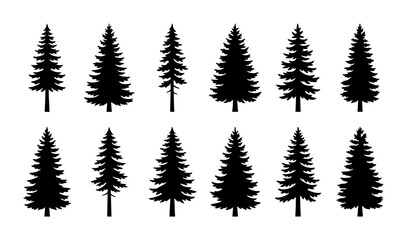 Collection of Evergreen Pine Tree Silhouettes, Coniferous Forest Elements, Natural Woodland Icons, Black and White Vector Graphics for Outdoor Design © Rahim