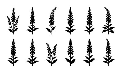 Black Silhouette Foxglove Flowers, Digitalis Plant Vector Set, Elegant Botanical Illustrations for Nature Designs © Abul