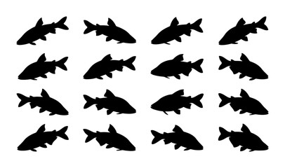 Fototapeta premium Silhouette Fish Collection, Aquatic Animal Icons, Marine Life Vector Graphics, Underwater Wildlife Patterns