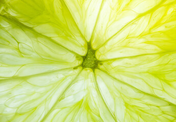 Fototapeta premium Macro close-up of a fresh juicy lime slice texture,A highly detailed macro close-up shot capturing the vibrant, translucent texture and radial structure of a fresh lime slice, highlighting the juice .